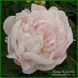 Cloud Cap. Bigger'1979, USА. 72 фото 2