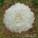Puffed Cotton. Krekler/Klehm'2003, USА.