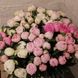 Квіти півоній сортів світло-рожевого кольору П2 фото 1
