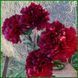 Autens Red Sport. Origin unknown. 456 фото 2