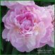 LaDonna. Hollingsworth'1997, USА. 160 фото 1